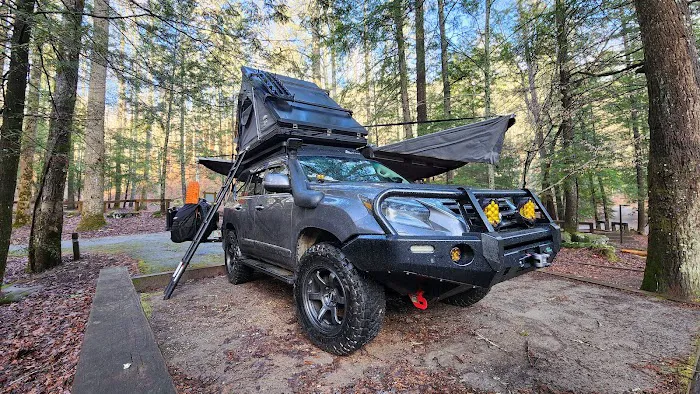 Horse Cove Campground, Cheoah Ranger District, Nantahala National Forest 1