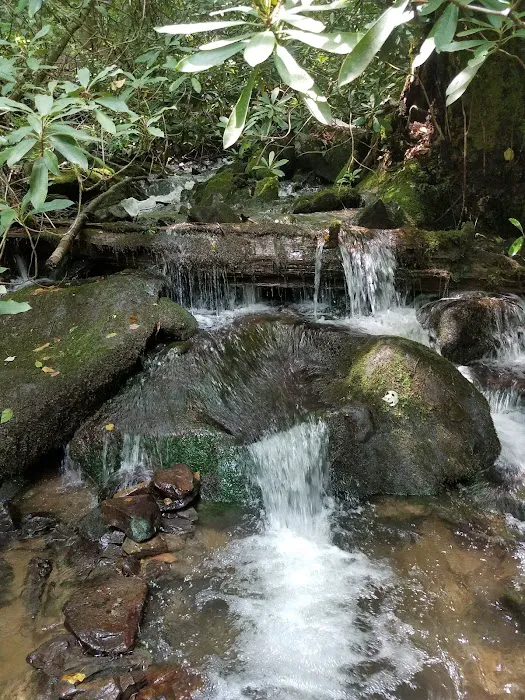 Horse Cove Campground, Cheoah Ranger District, Nantahala National Forest 3