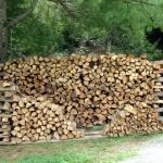 Teaberry Hill RV Campground