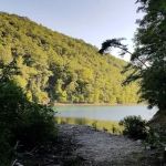 Backcountry Campsite #98