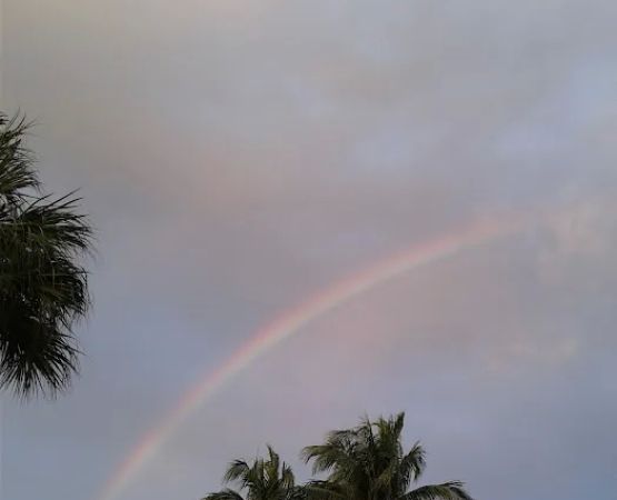 Palm Beach Traveler RV Park
