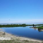 Roland Martin Marina & Resort