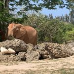 Larry and Penny Thompson Memorial Park and Campground