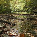 Turkey Ridge Campground