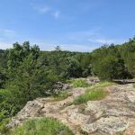 Ferne Clyffe State Park Campground Loop
