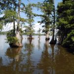 Horseshoe Lake State Fish & Wildlife Area-West Campground