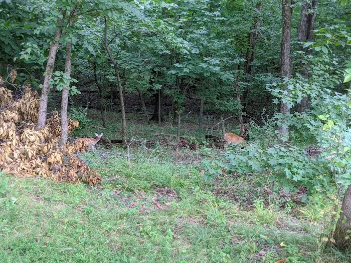 South Marcum Recreational Area 9