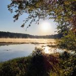 Oak Point Campground