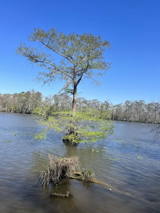 Fairview-Riverside State Park 5