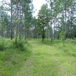 sandy hollow campground