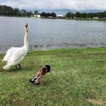 Lakeside RV Resort by Rjourney