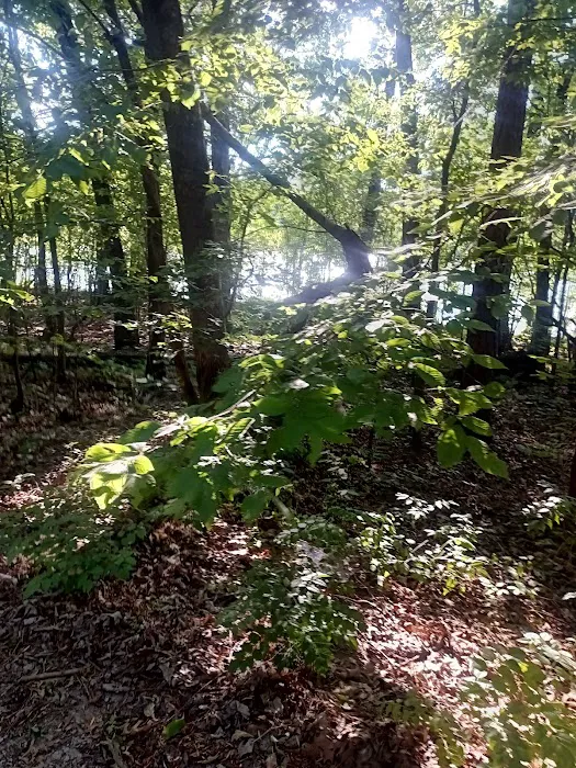 Whetstone Campgrounds 9