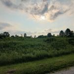 Whetstone Campgrounds