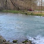 Larry's Cedar Resort