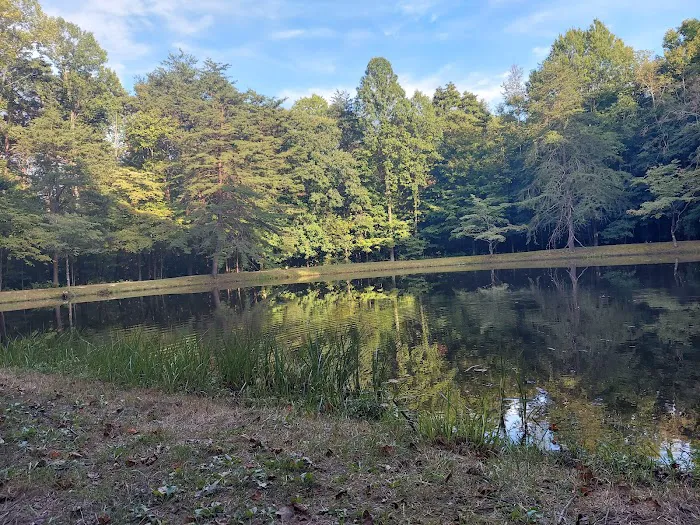 Owen-Putnam State Forest 0