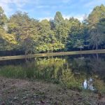 Owen-Putnam State Forest