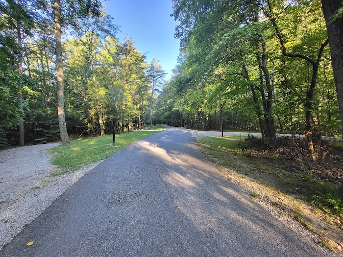 Owen-Putnam State Forest 5