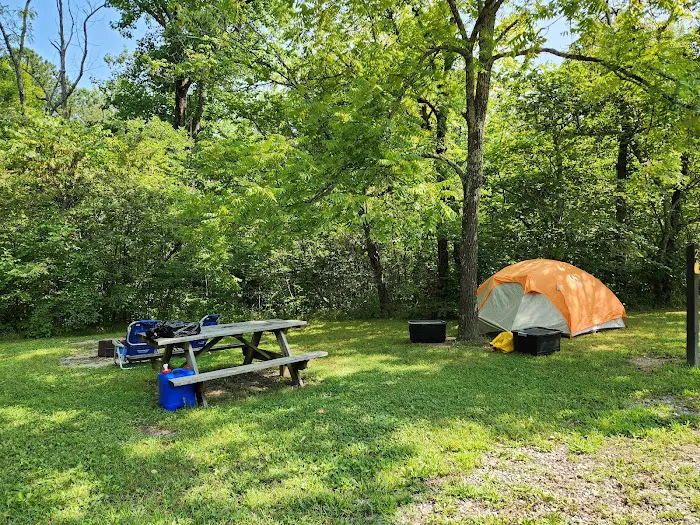 Owen-Putnam State Forest 8
