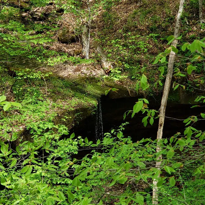 Owen-Putnam State Forest 9