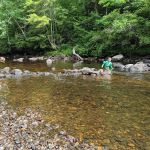 Nickerson Park Family Campground