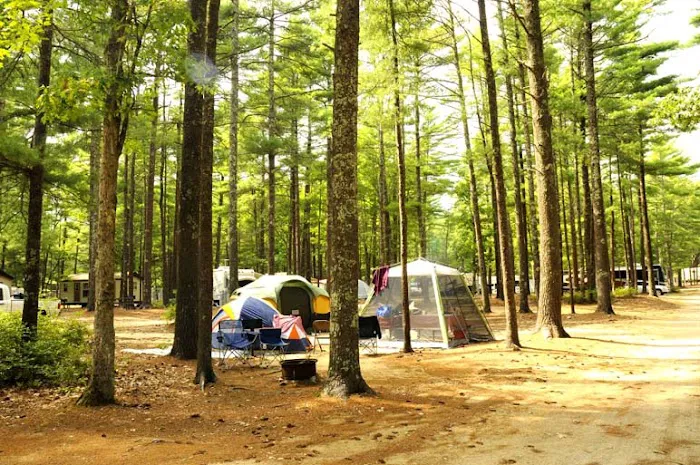 Thousand Trails Gateway to Cape Cod 6