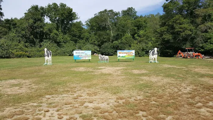 Westport Camping Grounds 9
