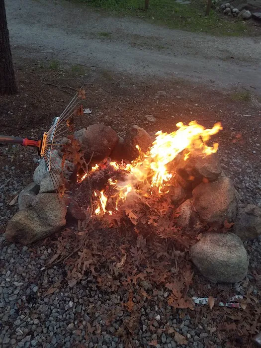 Westport Camping Grounds 5