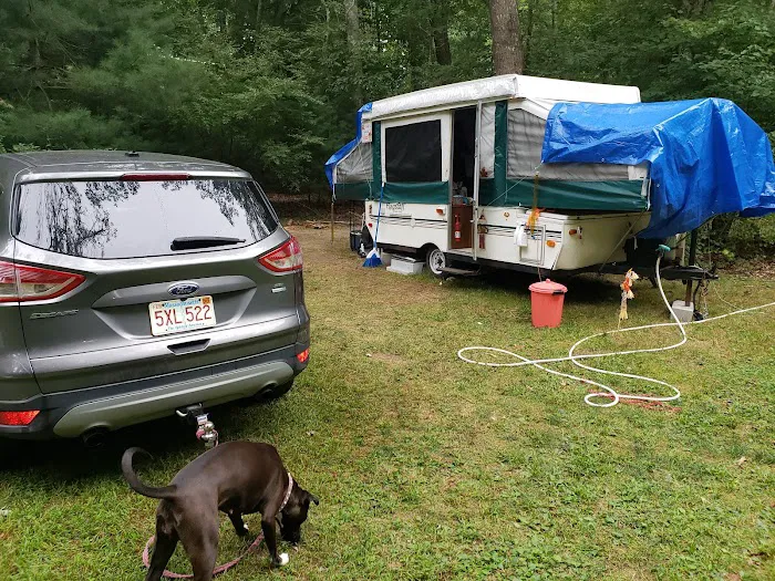 Westport Camping Grounds 3
