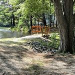 Pine lake campground