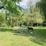 Croton Point Park Campground