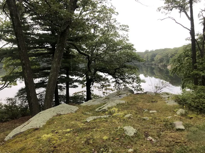 Cedar Pond Campground 2