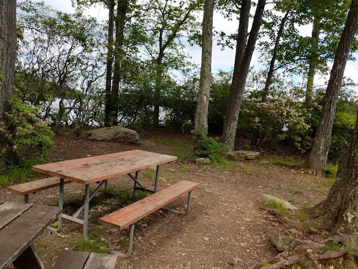 Cedar Pond Campground 1