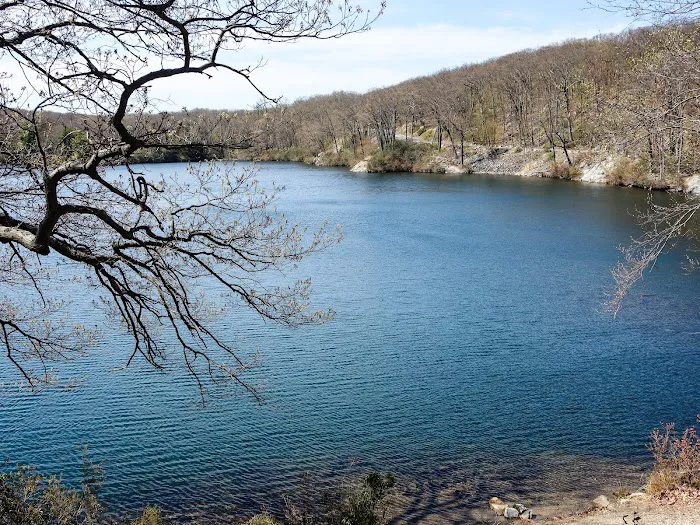Cedar Pond Campground 4