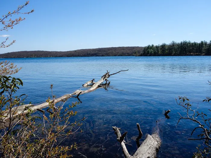 Cedar Pond Campground 0