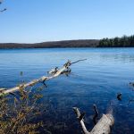 Cedar Pond Campground