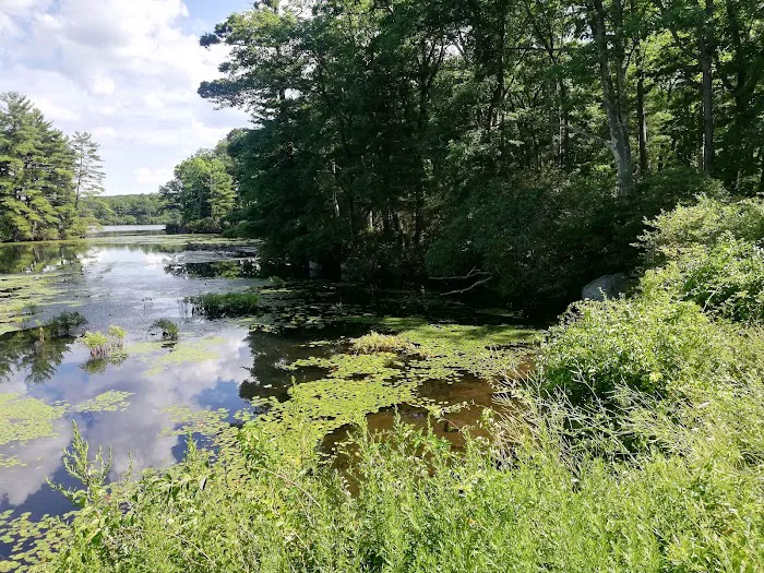 Cedar Pond Campground 9