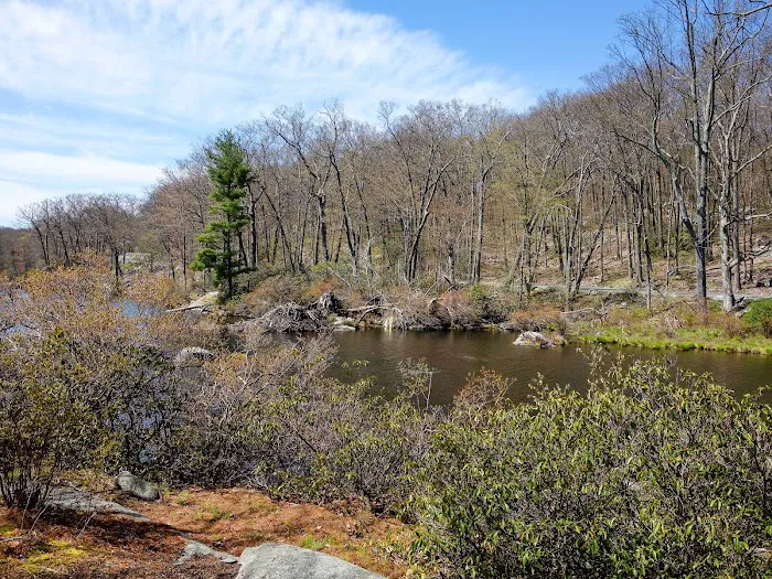 Cedar Pond Campground 6