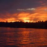 Berry's Grove Campground