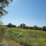 Kilen Woods State Park