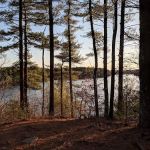 Massasoit State Park