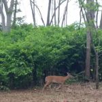 Camp Gateway - Staten Island