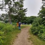 Camp Gateway Brooklyn Tamarak and Goldenrod
