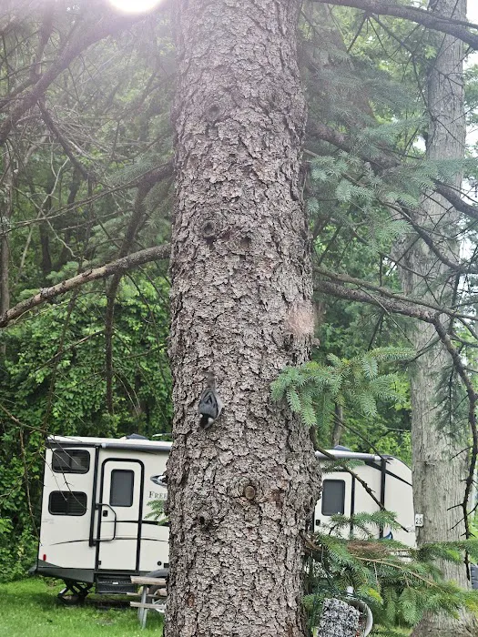Jugtown Mountain Campsites 1