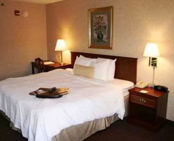 Hampton Inn Flemington