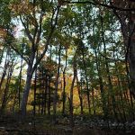 Harmony Ridge Farm & Campground