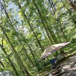 Steam mill campground