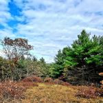 Port Jervis Elks Brox Campground