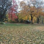 Sun-Air Lakeside Camp