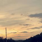 FLA- Net Park Campgrounds