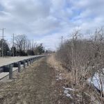 Camp Ground Road Woods